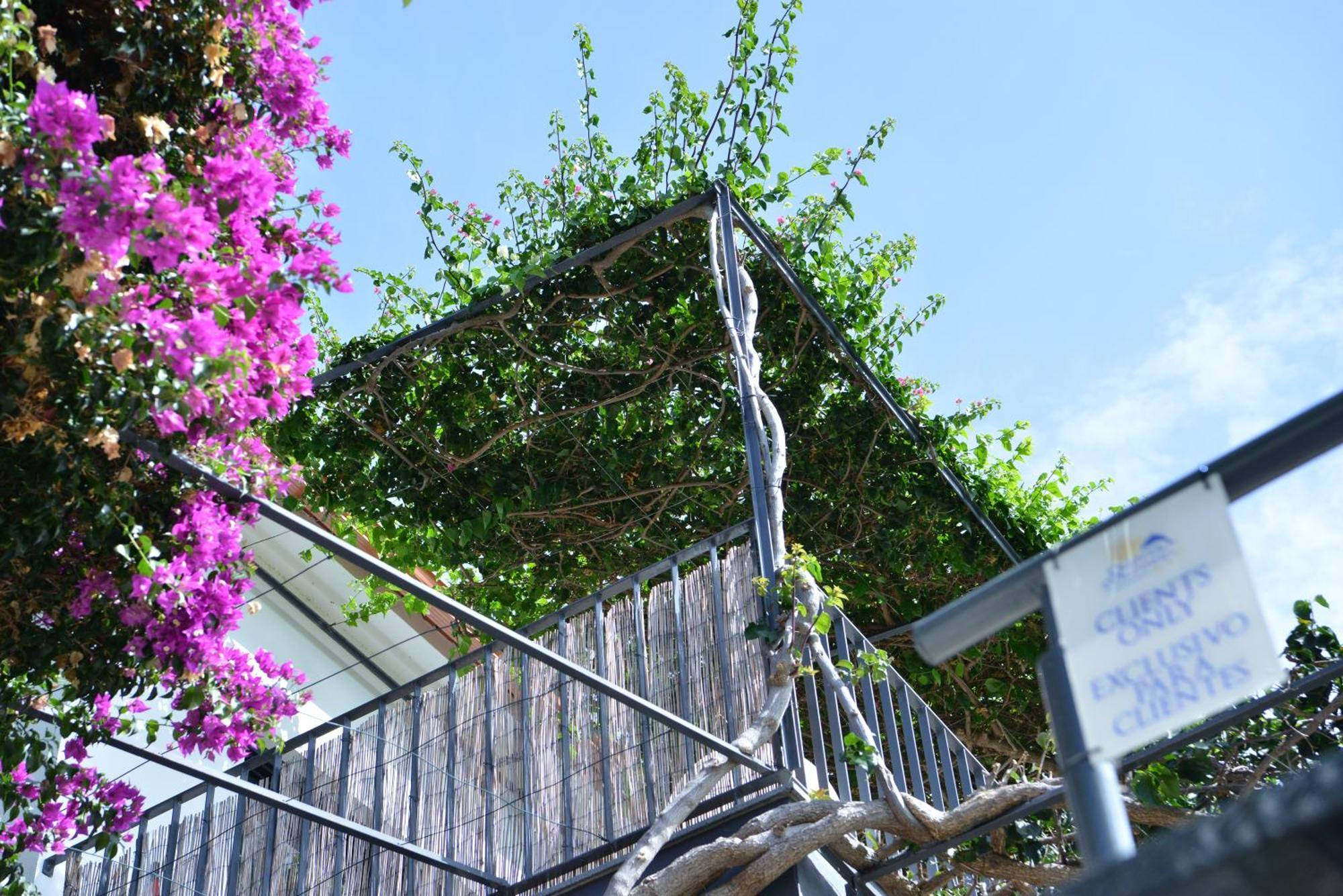 Appartamento Quinta Golfinho Arco da Calheta  Esterno foto