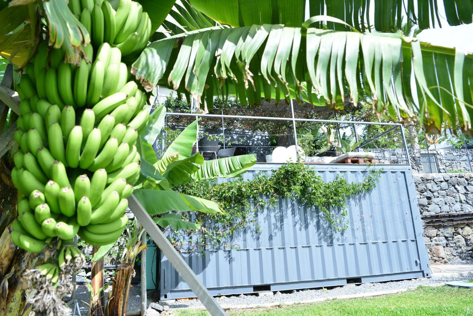 Appartamento Quinta Golfinho Arco da Calheta  Esterno foto
